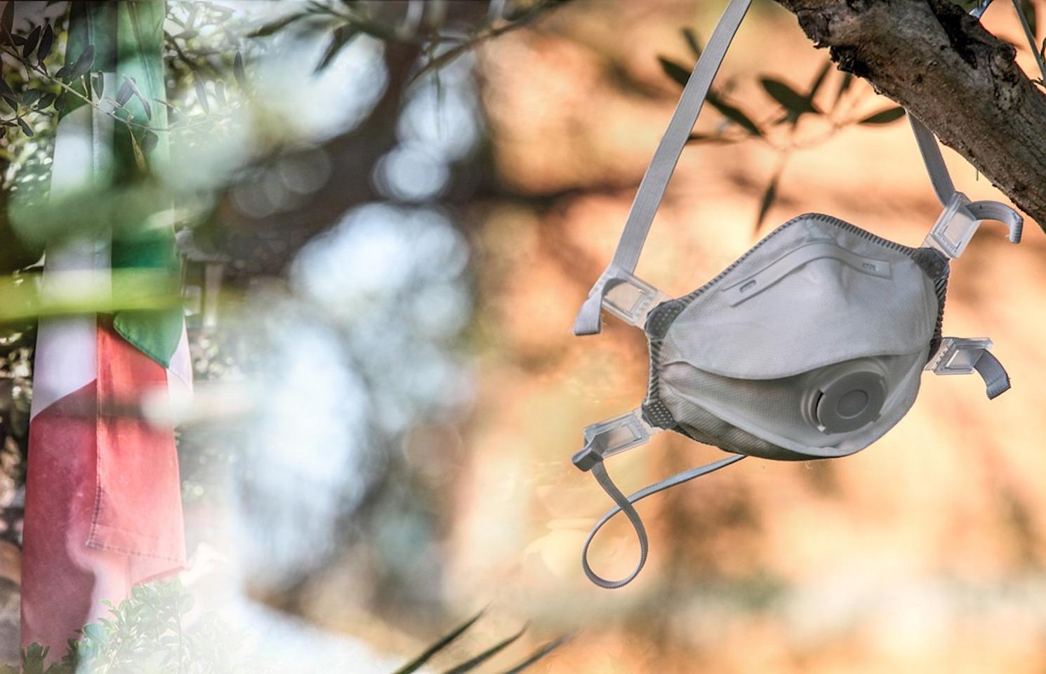 un masque laissé à l'abandon sur un arbre