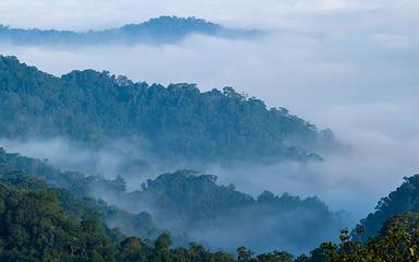 Parc-National-Kaeng-Krachan