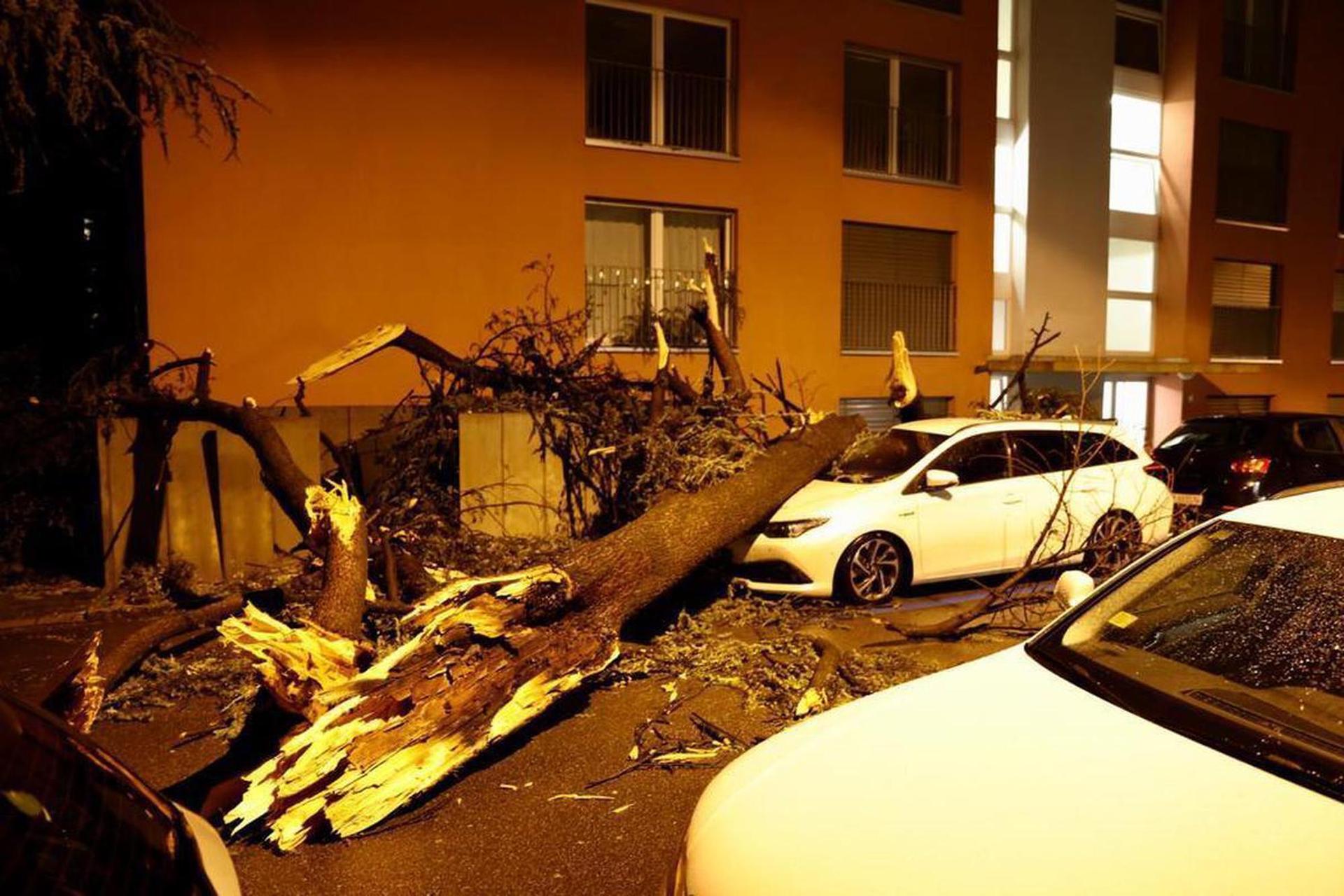 transports publics zurichois à l’arrêt pluies diluviennes