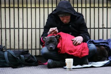 Un homme est assis dans la rue avec un chien sur ses genoux 