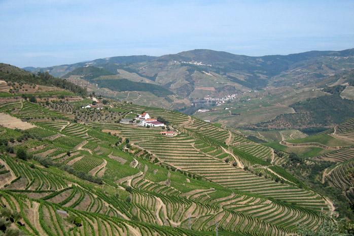 Paysage de la région du Douro