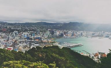 vue sur wellington