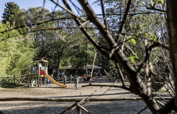 Des enfants qui jouent dans la cour de récréation du lycée Chateaubriand