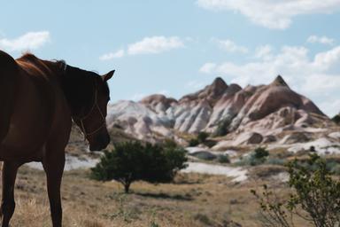 Cappadoce cheval ranch