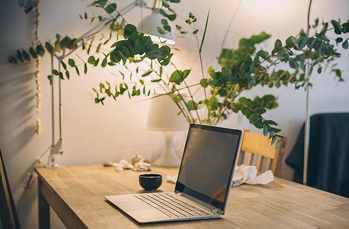 Bureau avec un ordinateur et une plante