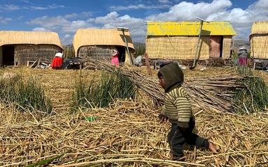 Au Pérou, les îles Uros flottent grâce au Totora