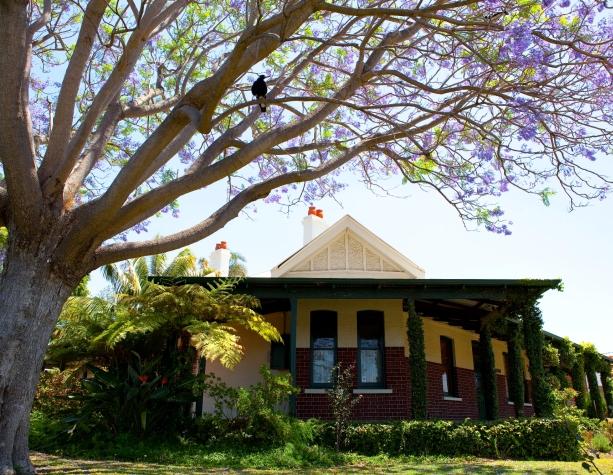 Halliday house Bayswater museum