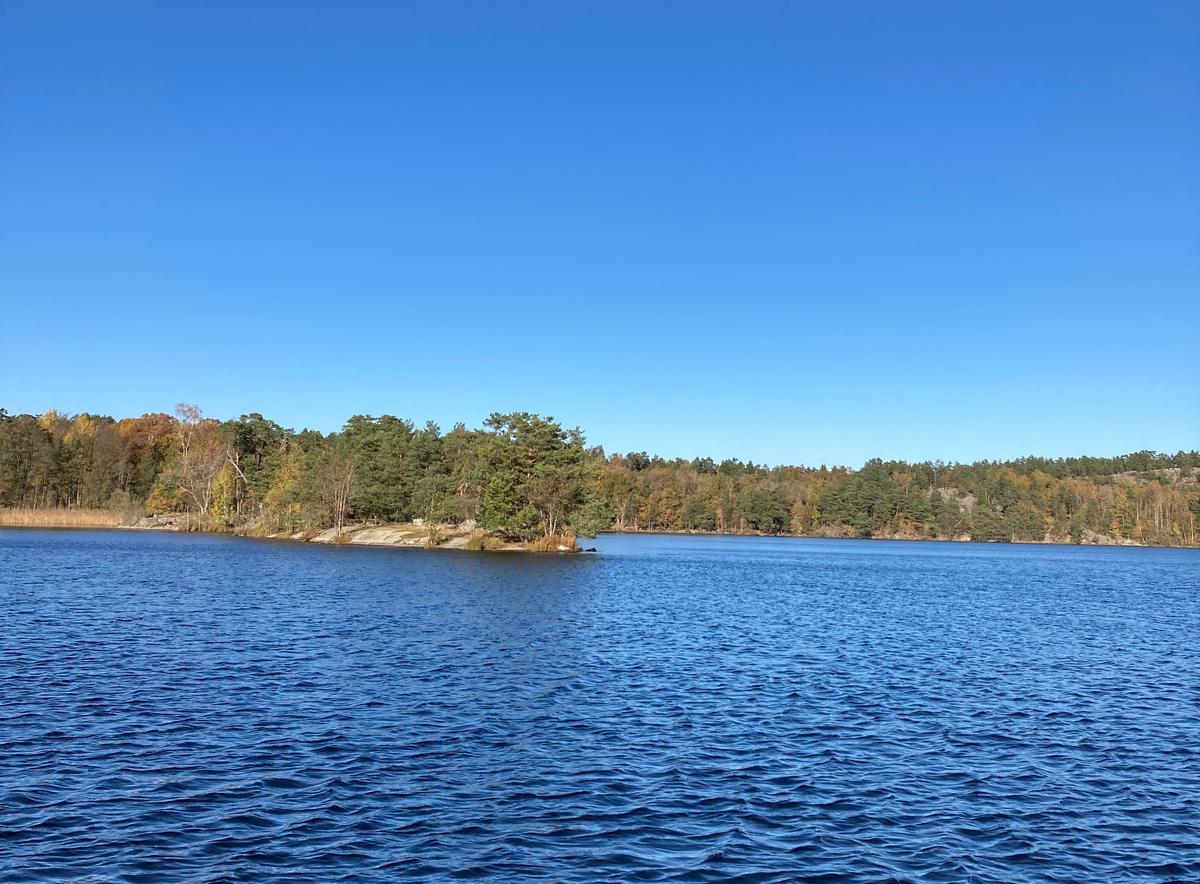 Suède paysage lac Stockholm forêt