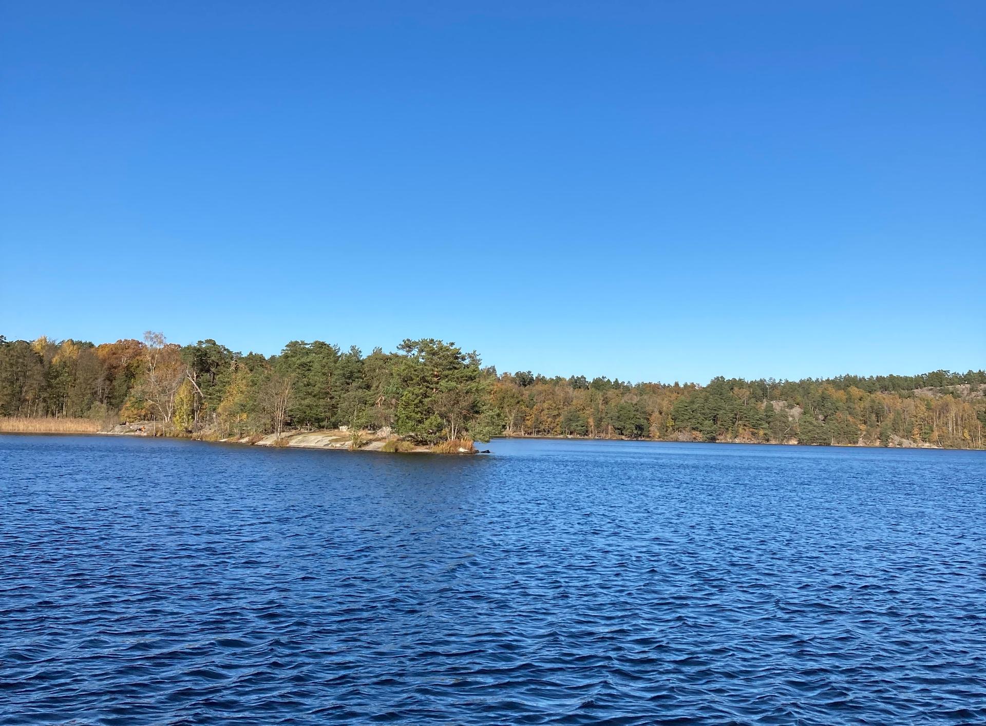 Suède paysage lac Stockholm forêt