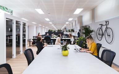 Des personnes dans un bureau avec vélo accroché au mur