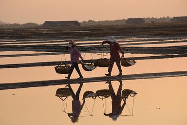 marais salants region de kep au Cambodge 2