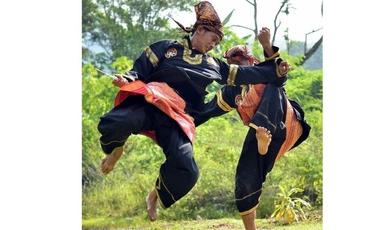 pencak silat une