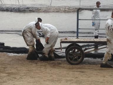 Operation de nettoyage de l'ile de Koh Samet