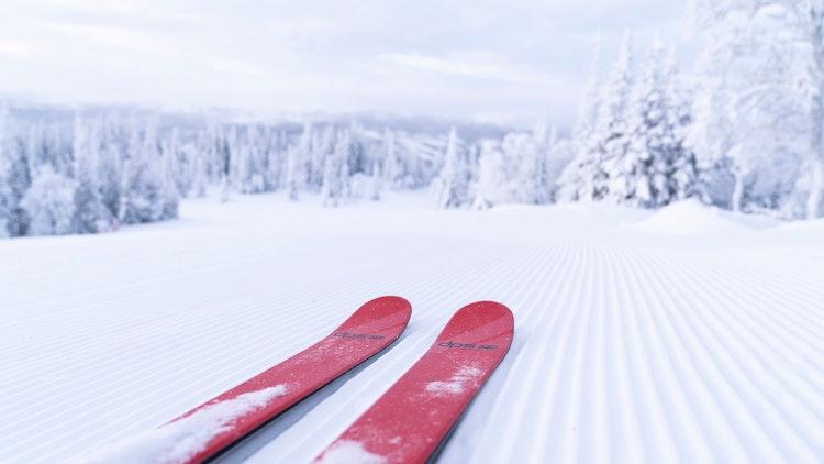 skier en scandinavie au départ du Danemark 