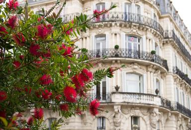 Batment Montpellier avec fleurs 