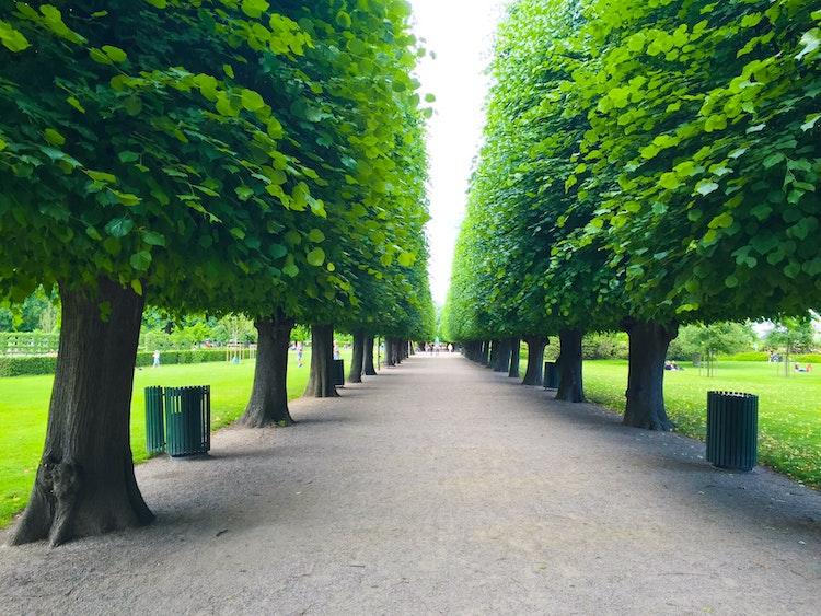 Le parc de rosenborg à Copenhague