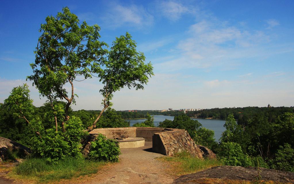 Un arbre au Bellevueparken à Stockholm