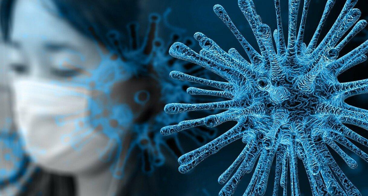 coronavirus en chine