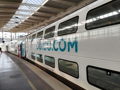 un train ouigo sur le quai