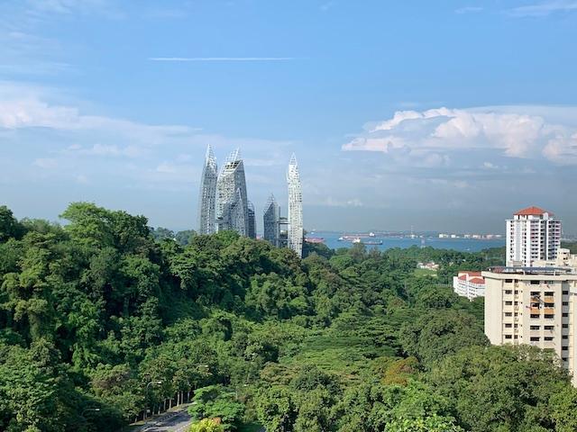 Southern Ridges, Jungle, Singapour