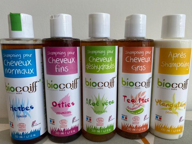 Cinq types de shampoings bio 