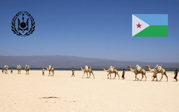 Dromadaires dans le désert du lac d'abbe à Djibouti