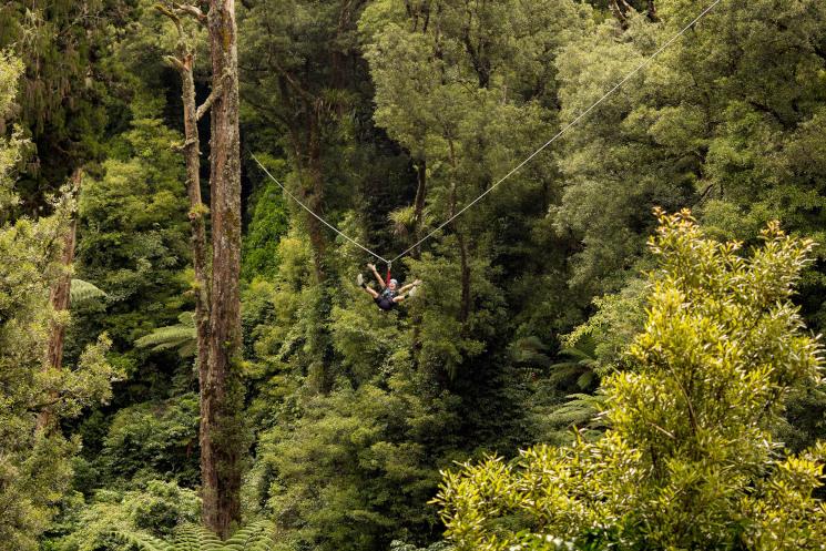 une vue aerienne sur la foret de Rotorua 