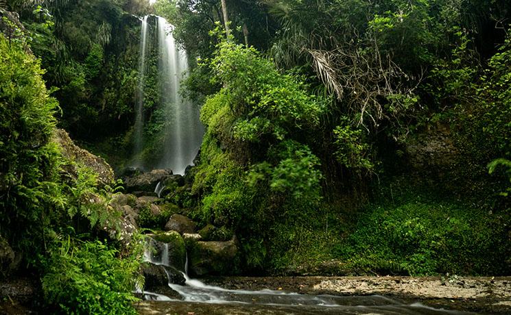 vue sur les vivian falls près d'Auckland