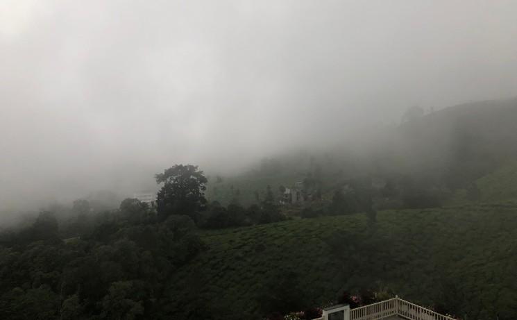 La mousson dans le Kerala