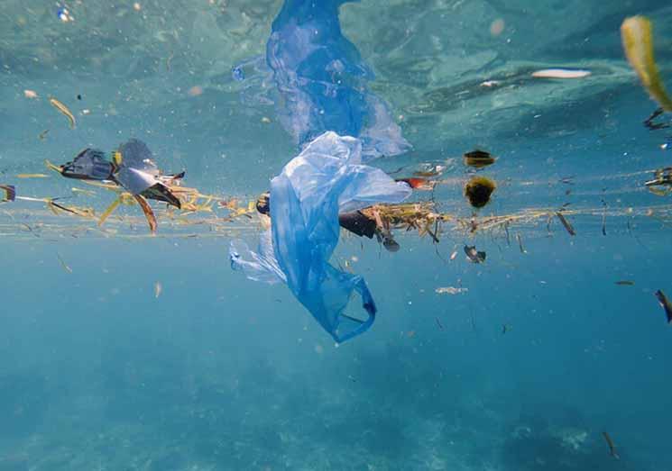 plastique en mer petite ministere de l'environnenet 