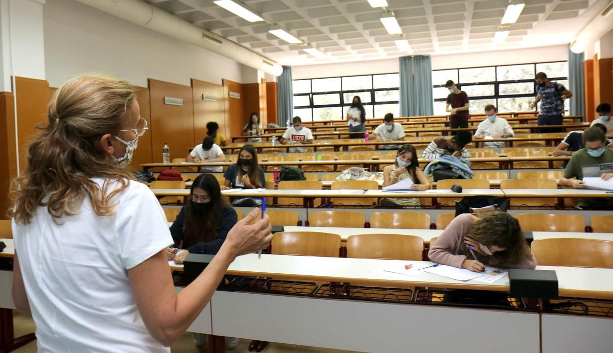 une professeure en train de faire un cours devant des etudiants a alicante