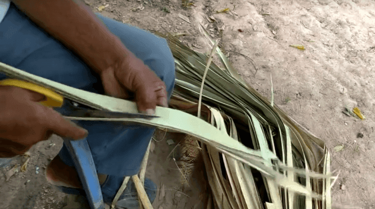 trompette de palme cambodgienne - Pei Sloeuk