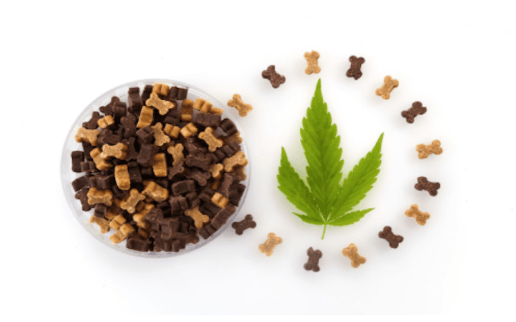 CBD effet animaux 