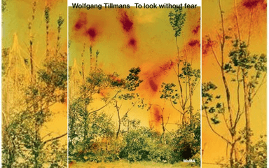 Wolfgang Tillmans : To look without fear