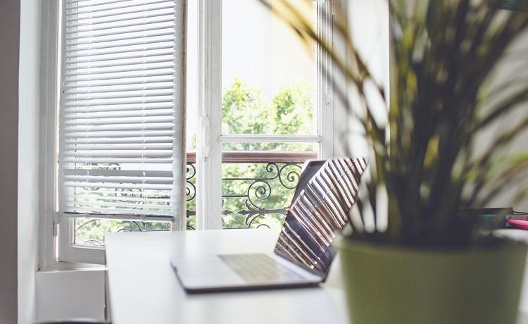 ordinateur portable posé sur un bureau avec une plante