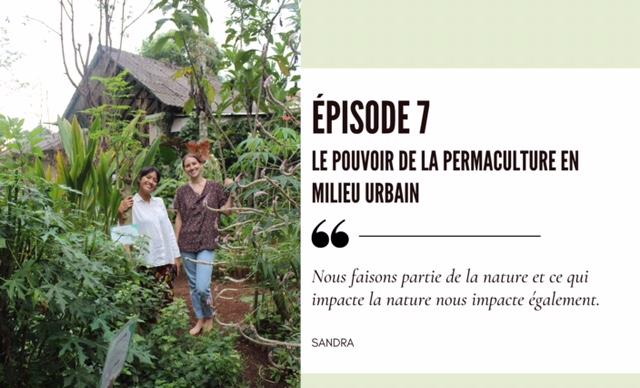 podcats permaculture jakarta