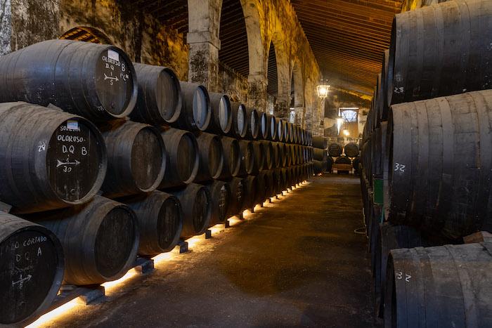 Des tonneaux dans une Cave