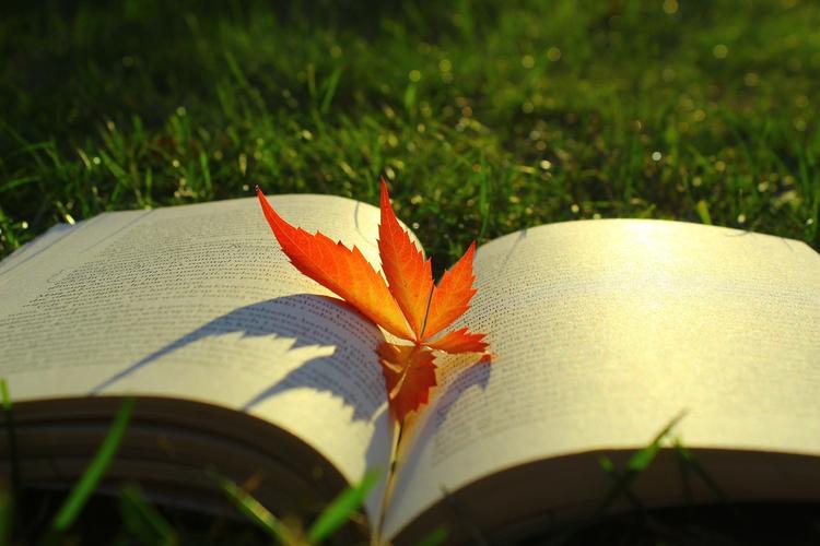 Livre automne feuille érable