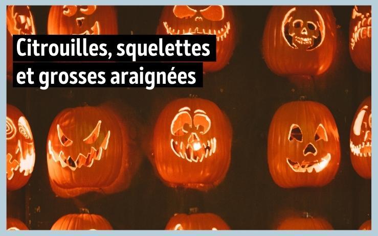 plusieurs citrouilles