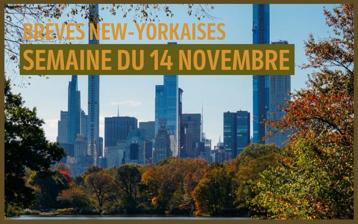 breves 14 Novembre_0