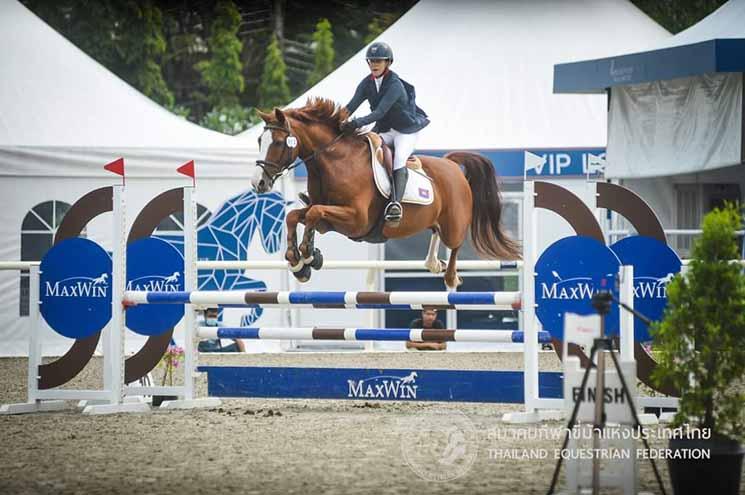 Une cavalière et son cheval franchissant des des obstacles