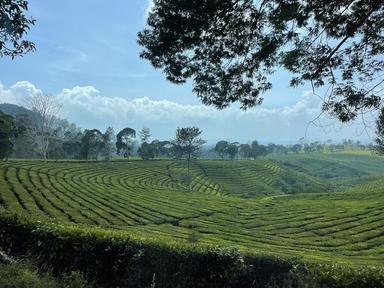 plantation the malabar Bandung