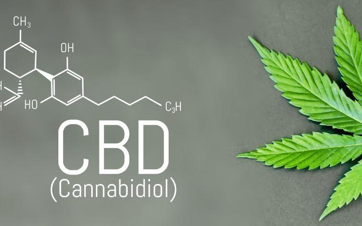 CBD