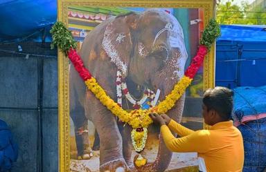 Un mémorial en l'honneur de l'éléphante Lakshmi à Pondichéry