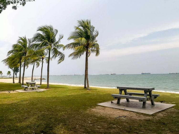 east coast pique nique