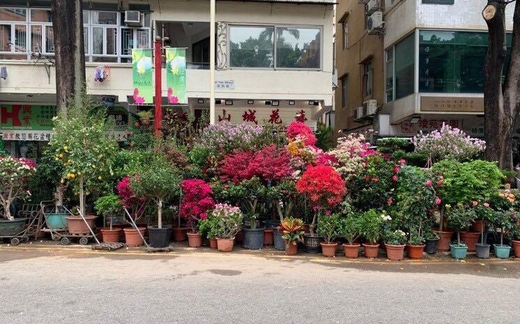 Flower Market Hong Kong