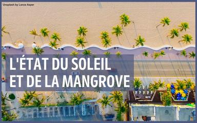 Vue aérienne d'une ville de Floride