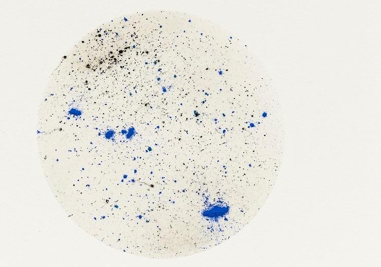 dessin de nina carini