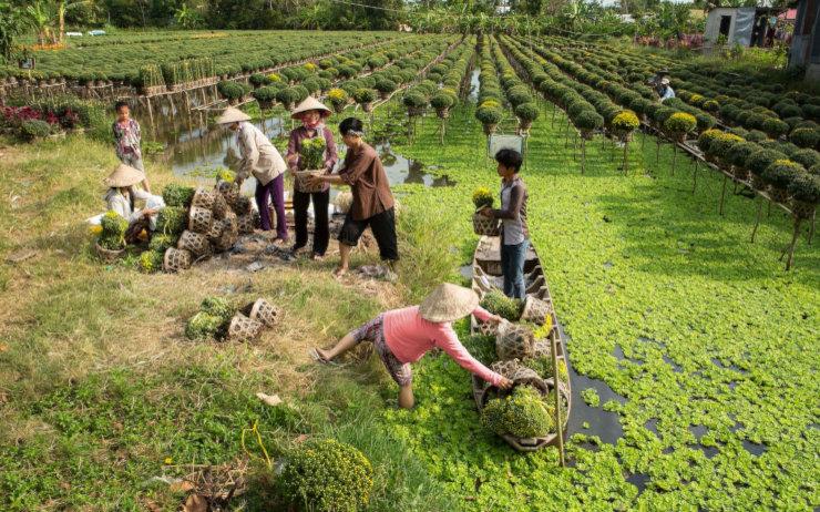 Le Mékong, un fleuve hautement stratégique pour le Vietnam