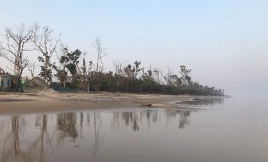 La plage de Habalikhati en Odisha où les tortues viennent chaque année